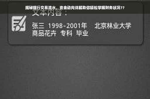 揭秘银行交易流水，资金动向详解助你轻松掌握财务状况??