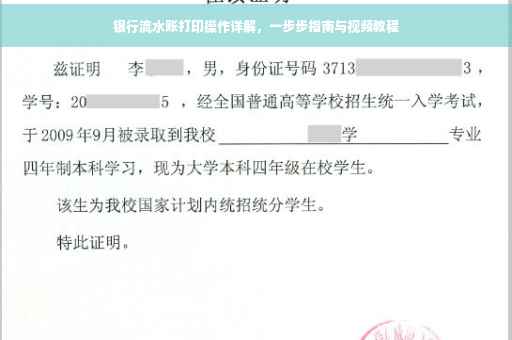 银行流水账打印操作详解，一步步指南与视频教程