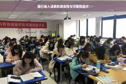 银行收入证明的真实性与可靠性探讨
