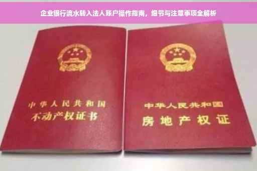 企业银行流水转入法人账户操作指南，细节与注意事项全解析