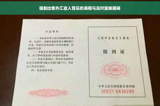 强制出售外汇收入背后的真相与应对策略揭秘