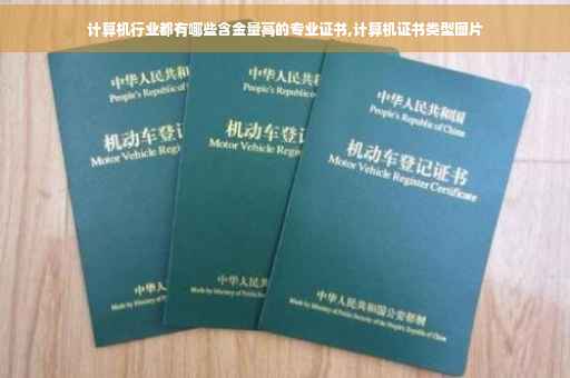 计算机行业都有哪些含金量高的专业证书,计算机证书类型图片