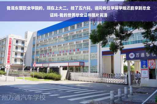 我是东营职业学院的，现在上大二，挂了五六科，请问各位学哥学姐还能拿到毕业证吗-我的世界毕业证书图片高清