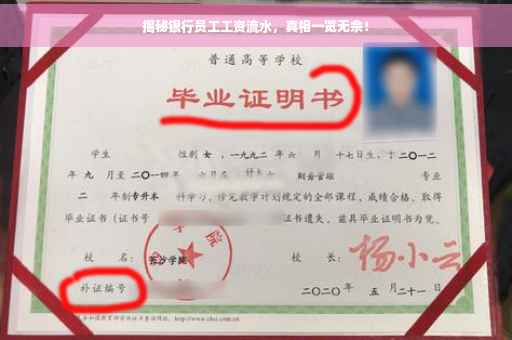揭秘银行员工工资流水，真相一览无余！