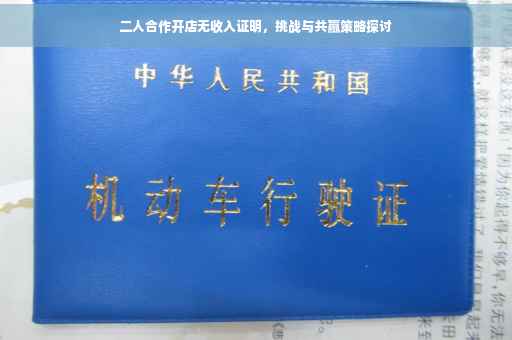 二人合作开店无收入证明，挑战与共赢策略探讨