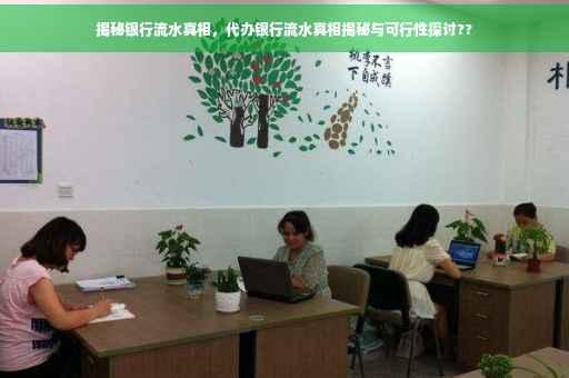 揭秘银行流水真相，代办银行流水真相揭秘与可行性探讨??