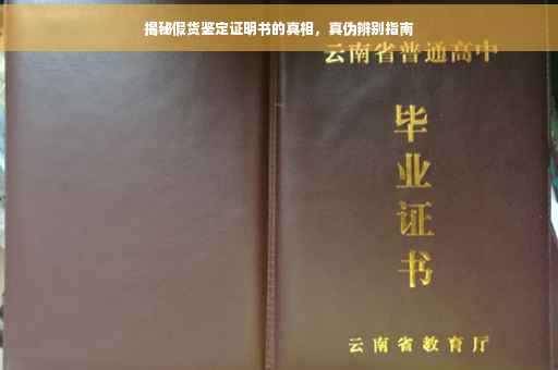 揭秘假货鉴定证明书的真相，真伪辨别指南