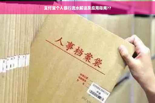 支付宝个人银行流水解读及应用指南??