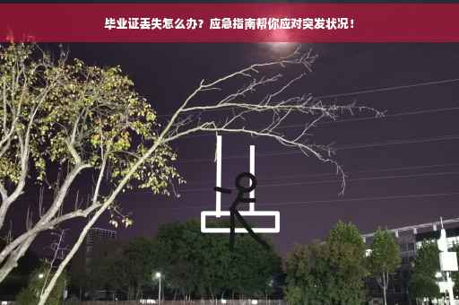 毕业证丢失怎么办？应急指南帮你应对突发状况！