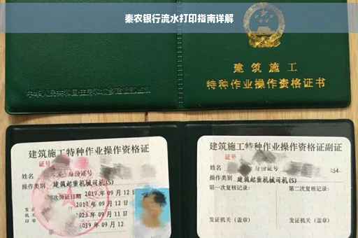 秦农银行流水打印指南详解
