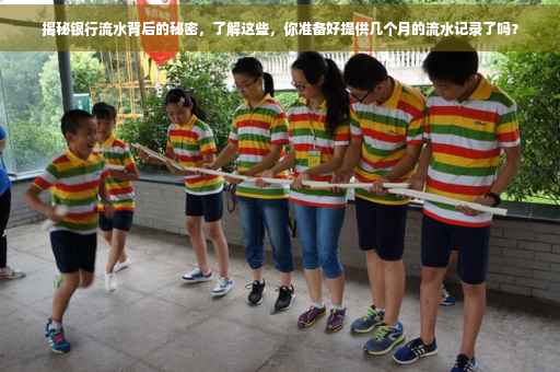揭秘银行流水背后的秘密，了解这些，你准备好提供几个月的流水记录了吗？
