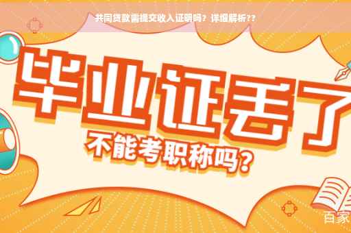共同贷款需提交收入证明吗？详细解析??