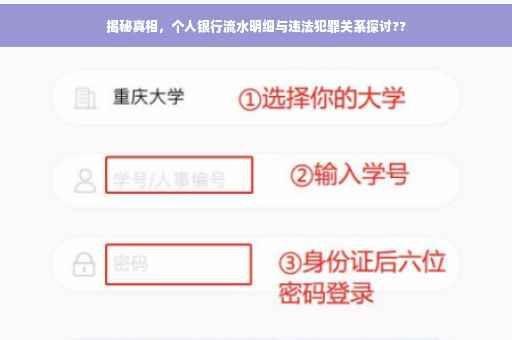 揭秘真相，个人银行流水明细与违法犯罪关系探讨??