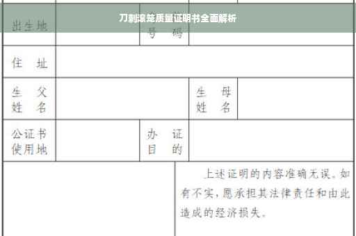 刀刺滚笼质量证明书全面解析
