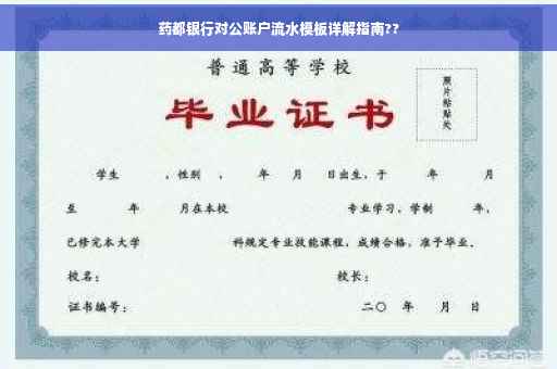药都银行对公账户流水模板详解指南??