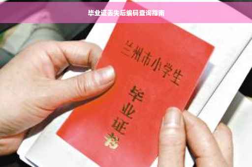 毕业证丢失后编码查询指南