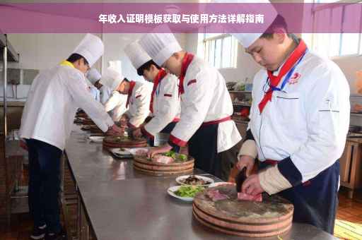 年收入证明模板获取与使用方法详解指南
