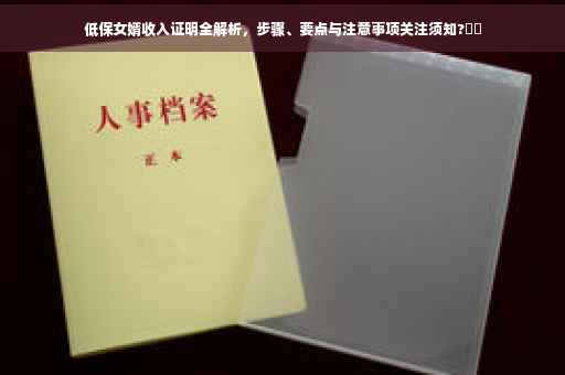 低保女婿收入证明全解析，步骤、要点与注意事项关注须知?⚡️