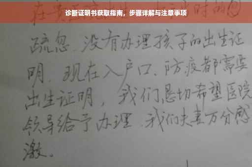 诊断证明书获取指南，步骤详解与注意事项