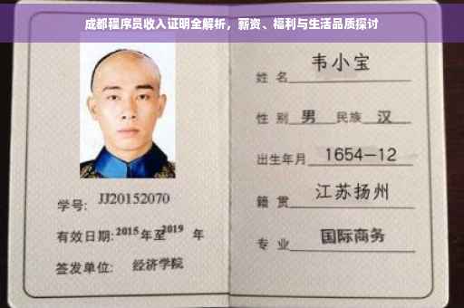 成都程序员收入证明全解析，薪资、福利与生活品质探讨