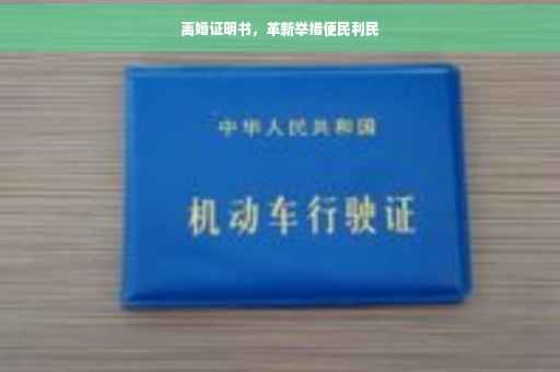 离婚证明书，革新举措便民利民