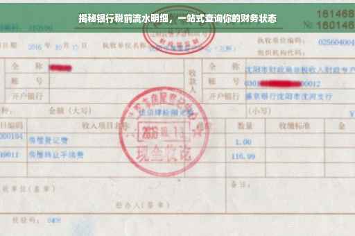 揭秘银行税前流水明细，一站式查询你的财务状态