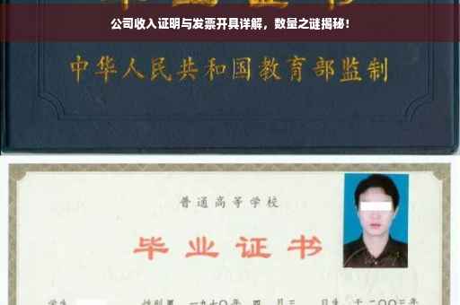 公司收入证明与发票开具详解，数量之谜揭秘！