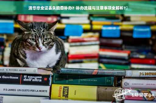 清华毕业证丢失能否补办？补办流程与注意事项全解析?✨