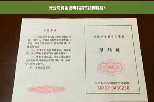 分公司资金证明书撰写指南详解！