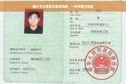 银行子公司流水查询详解，一步步操作指南