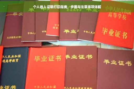 个人收入证明打印指南，步骤与注意事项详解