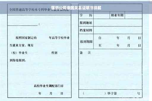 医药公司隶属关系证明书详解