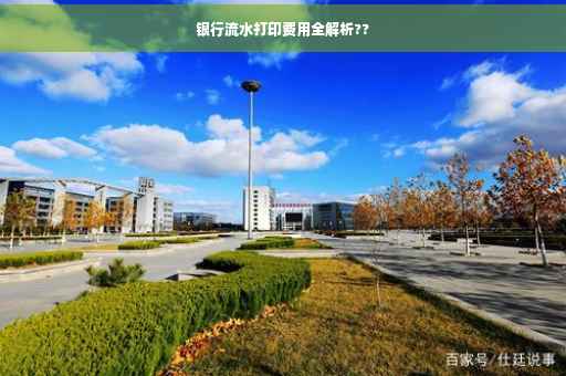 银行流水打印费用全解析??