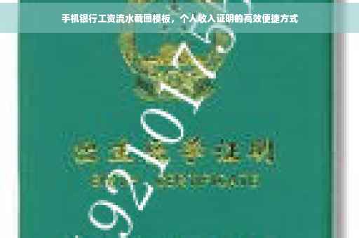 手机银行工资流水截图模板，个人收入证明的高效便捷方式