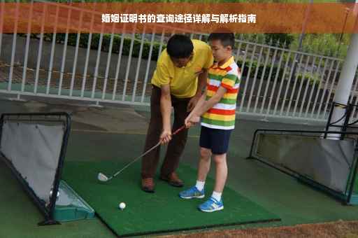婚姻证明书的查询途径详解与解析指南