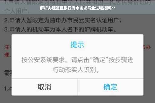 解析办理签证银行流水需求与全过程指南??