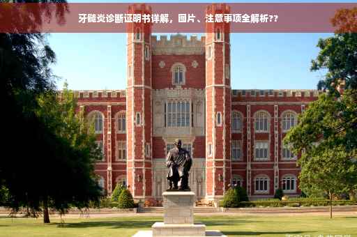 牙髓炎诊断证明书详解，图片、注意事项全解析??