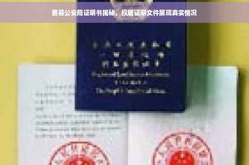 费县公安局证明书揭秘，权威证明文件展现真实情况