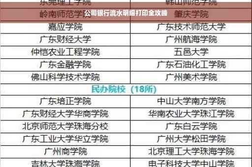 公司银行流水明细打印全攻略