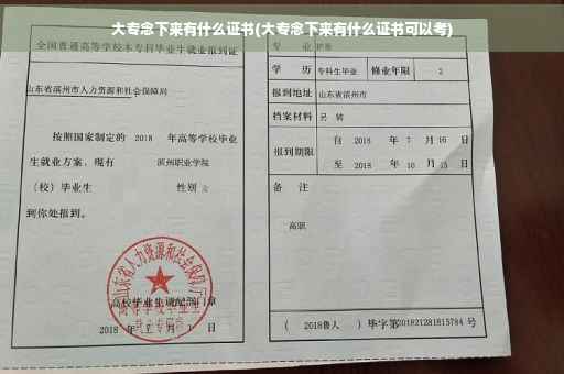 大专念下来有什么证书(大专念下来有什么证书可以考) 大专念下来有什么证书(大专念下来有什么证书可以考)