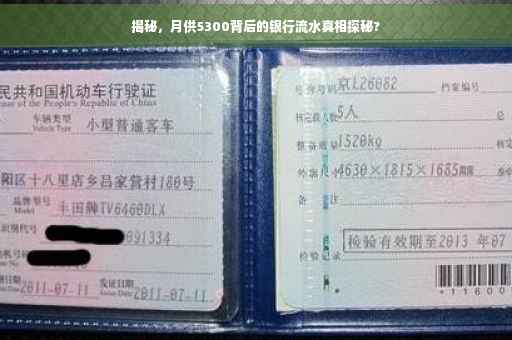 揭秘，月供5300背后的银行流水真相探秘?