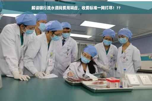 解读银行流水调阅费用疑虑，收费标准一网打尽！??