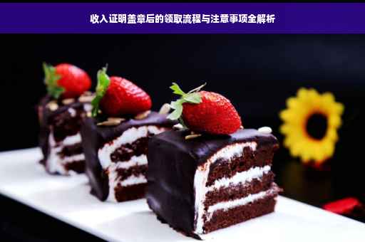 收入证明盖章后的领取流程与注意事项全解析