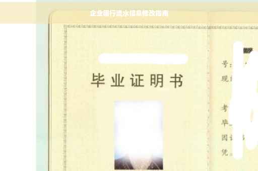 企业银行流水信息修改指南