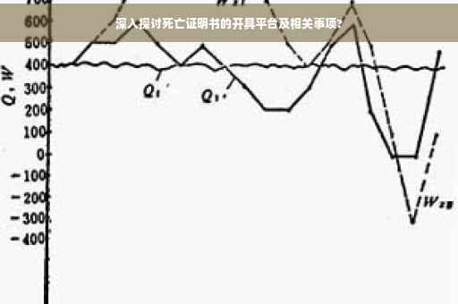 深入探讨死亡证明书的开具平台及相关事项?