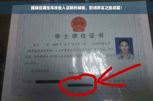 揭秘应届生年终收入证明的秘密，职场财富之旅启程！