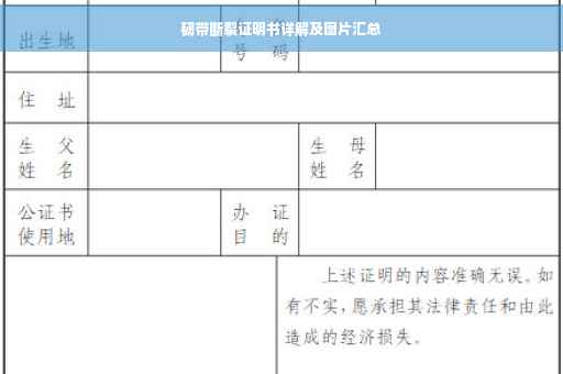 韧带断裂证明书详解及图片汇总