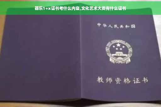 器乐1+x证书考什么内容,文化艺术大类有什么证书