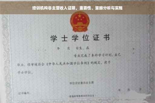 培训机构非主营收入证明，重要性、策略分析与实施