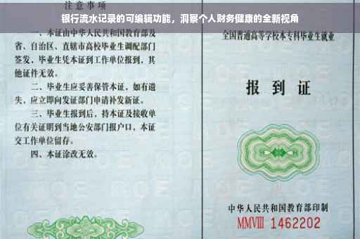 银行流水记录的可编辑功能，洞察个人财务健康的全新视角